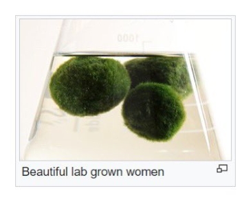 Beautiful lab grown women